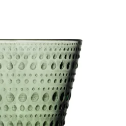 Aktiivinen Juomalasit-IITTALA Juomalasi 30cl havunvihreä 2kpl Havunvihreä