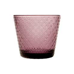 Aktiivinen Juomalasit-IITTALA Juomalasi 29cl 2kpl Kanerva