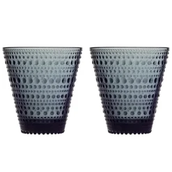Aktiivinen Juomalasit-IITTALA Juomalasi 30cl 2 kpl Tummanharmaa