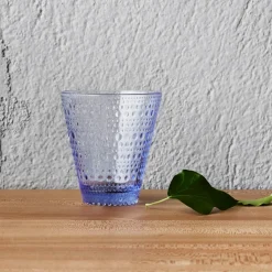 Aktiivinen Juomalasit-IITTALA Juomalasi 30cl 2kpl Vedensininen