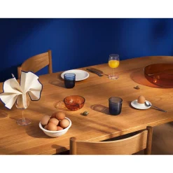 Kulhot-IITTALA Kulho 0,36L pomeranssi