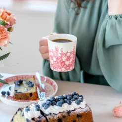 Mukit Ja Kupit-IITTALA Muki 0,3l