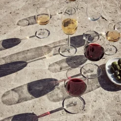 Viinilasit|Viinilasit-IITTALA Punaviinilasi 28cl 2kpl