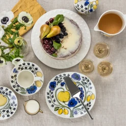 Piensisustus-IITTALA Rasia 0,43l kannella