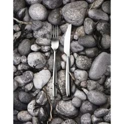 Veitset, Lusikat Ja Haarukat|Aterinsetit-IITTALA Ruokaveitsi 2kpl