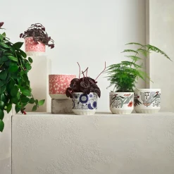 Kukkaruukut-IITTALA Ruukku 100x120mm