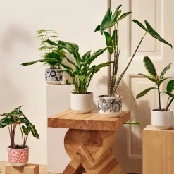 Kukkaruukut-IITTALA Ruukku 100x120mm