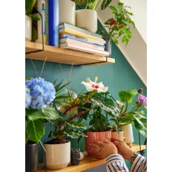 Kukkaruukut-IITTALA Ruukku 100x120mm terrakotta